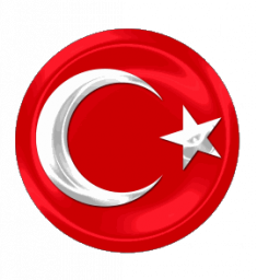 Krallık Y&uuml;kselişinde T&uuml;rk İttifakları